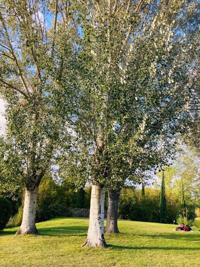 Podere La Chiusella B&B Раполано-Терме Экстерьер фото